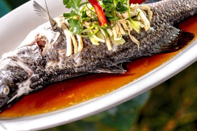 406 Steamed Barramundi in Ginger & Shallots Soy Sauce / 姜葱芒曹